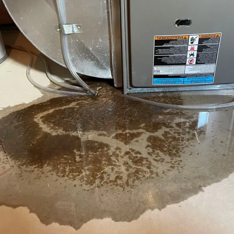 Pipe Burst and Leak Restoration in Putnam Lake, NY